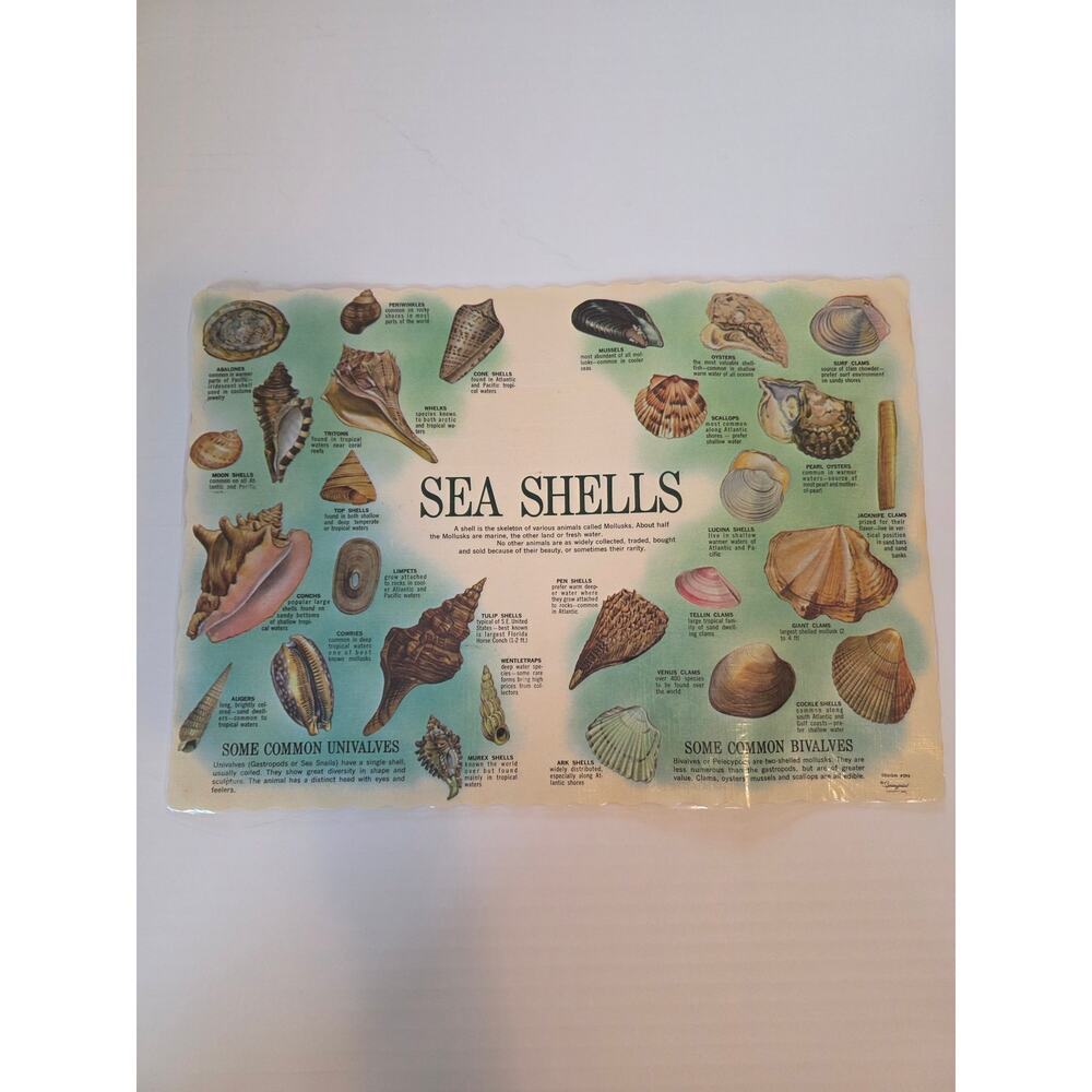 VTG Coastal Restaurant Seashell ID Laminated Beachcomber Nautical Placemat Decor